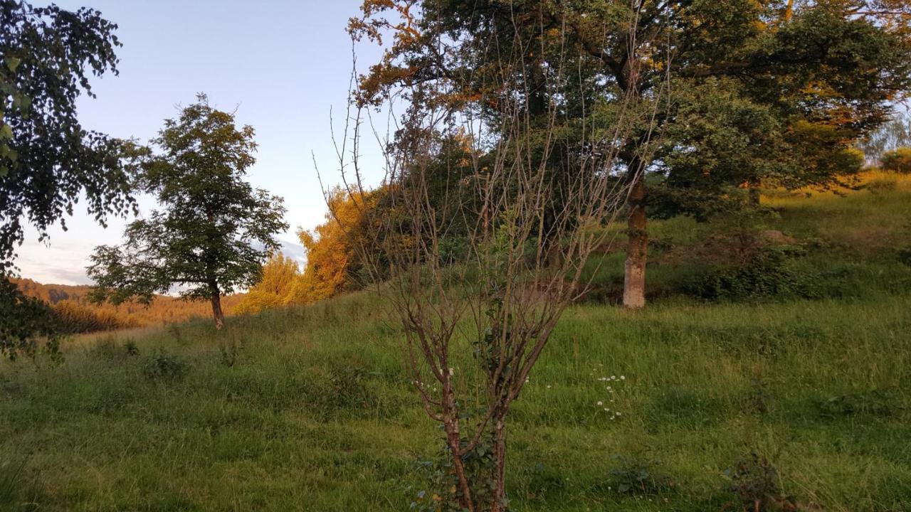 Ma Roulotte Sous Les Chenes- Au Naturel Raon-aux-Bois Exterior photo