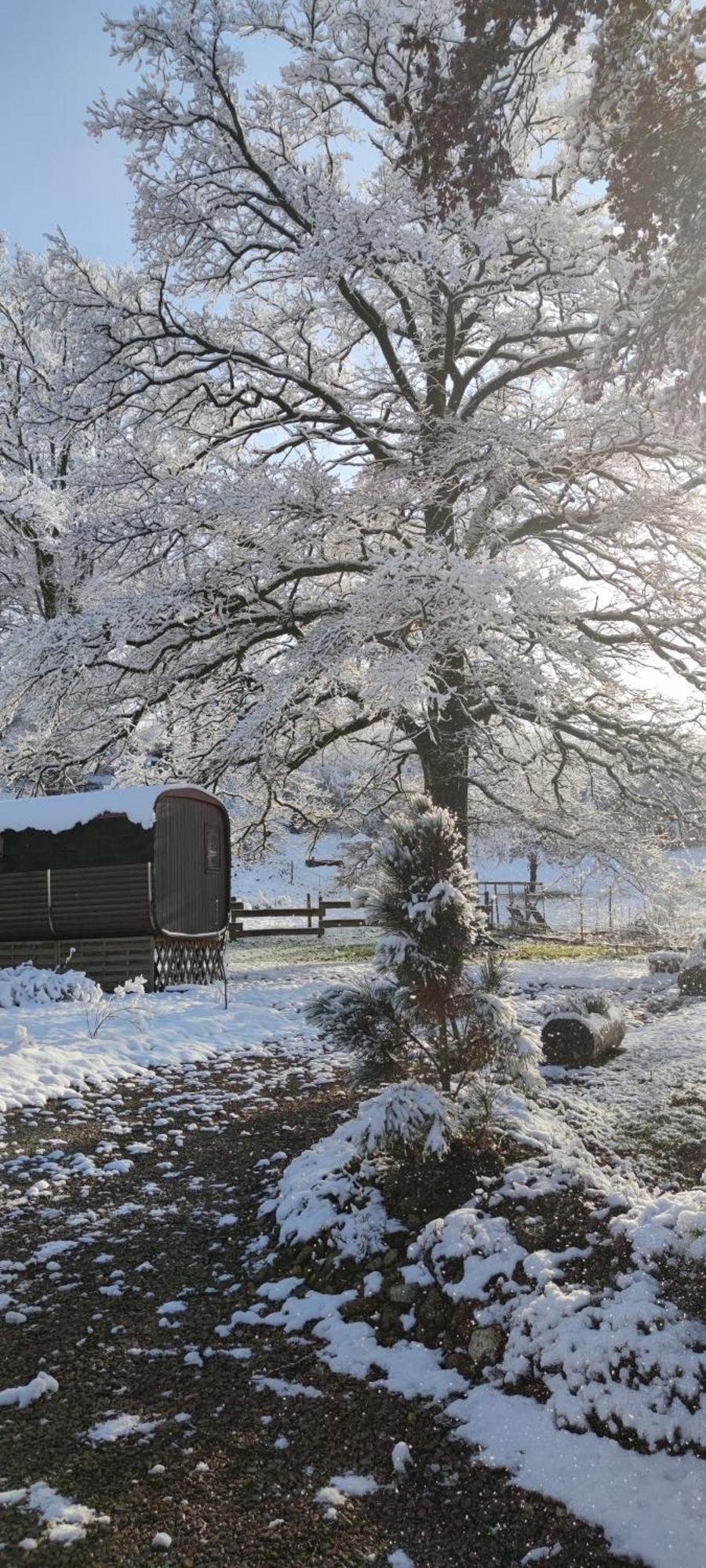 Ma Roulotte Sous Les Chenes- Au Naturel Raon-aux-Bois Exterior photo